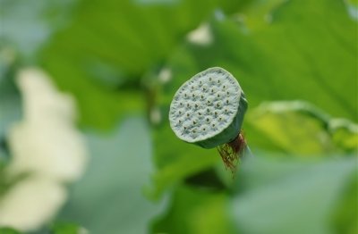 ​好听稀有的两字网名(共444个)