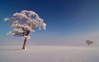 ​关于雪的文案朋友圈 下雪的句子写心情说说