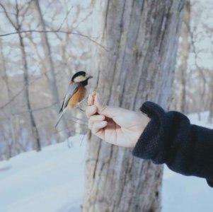 ​幽默网名大全男生 幽默调皮的男生网名