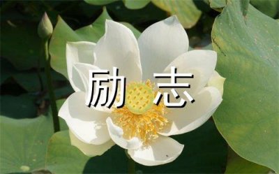 ​名人名言带名字104句