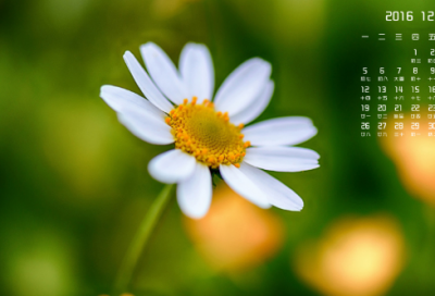 ​教师节的短信祝福语