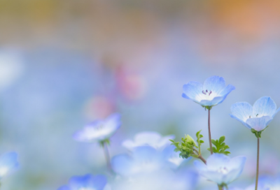 ​搞笑春节祝福语大全