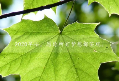 ​十岁成长礼祝福语,10岁成长礼简短寄语 【十岁成长礼经典祝福语】