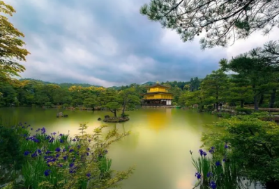 ​小王子简介主要内容（小王子玫瑰花经典语录）