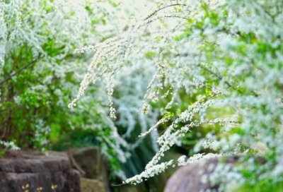 ​剪短发适合发朋友圈的句子 长发剪短发的朋友圈句子伤感